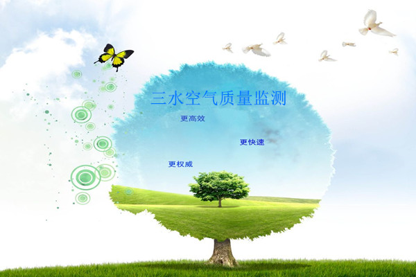 空氣質(zhì)量實(shí)時(shí)監(jiān)測(cè)的采樣工作容易出現(xiàn)哪些問(wèn)題？